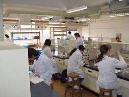 教室で化学実験をする理科教育講座（化学）の学生たち
